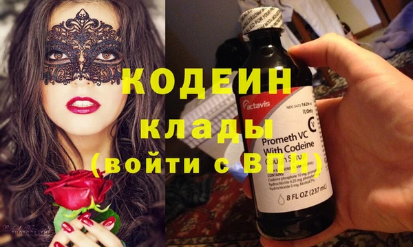 кокс Касимов