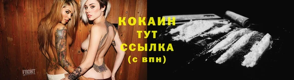 прущие грибы Нижний Тагил
