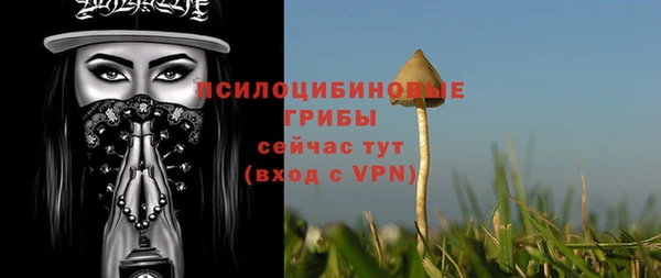 кокс Касимов