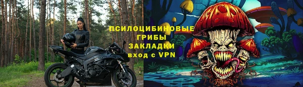 спайс Карпинск
