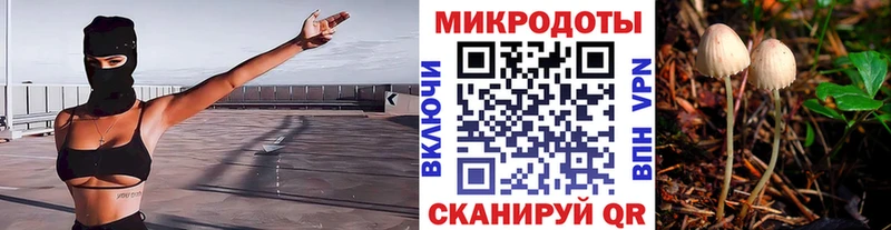 Галлюциногенные грибы мицелий Северо-Курильск